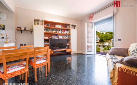 QUARTO-SHELLEY AD