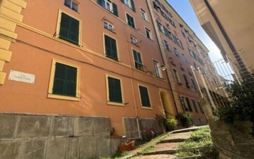 CORSO DOGALI ADIACENZA